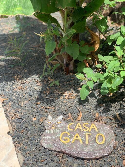 شقة Casa Gato كوراليهو المظهر الخارجي الصورة